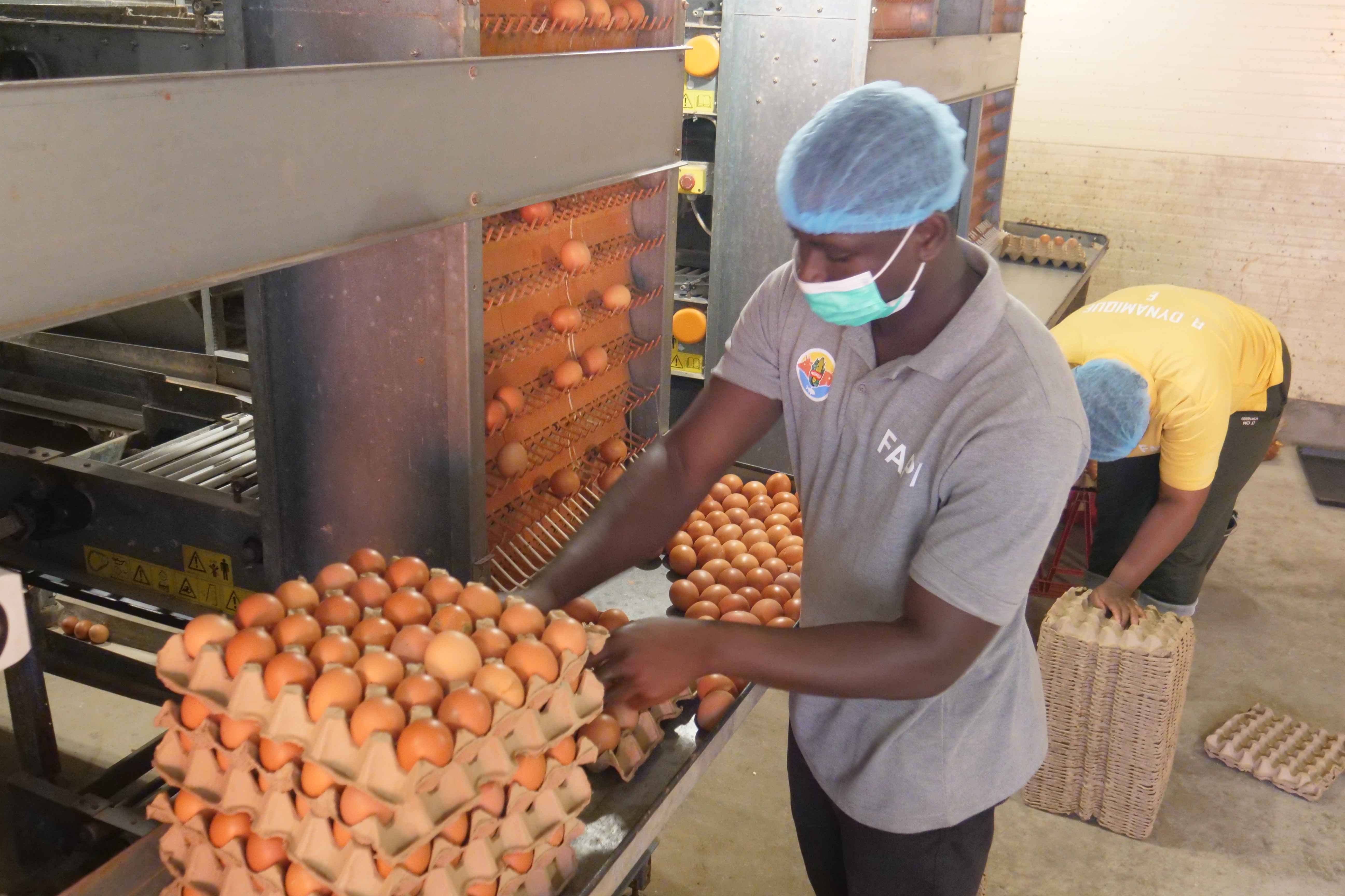 Production maraîchère