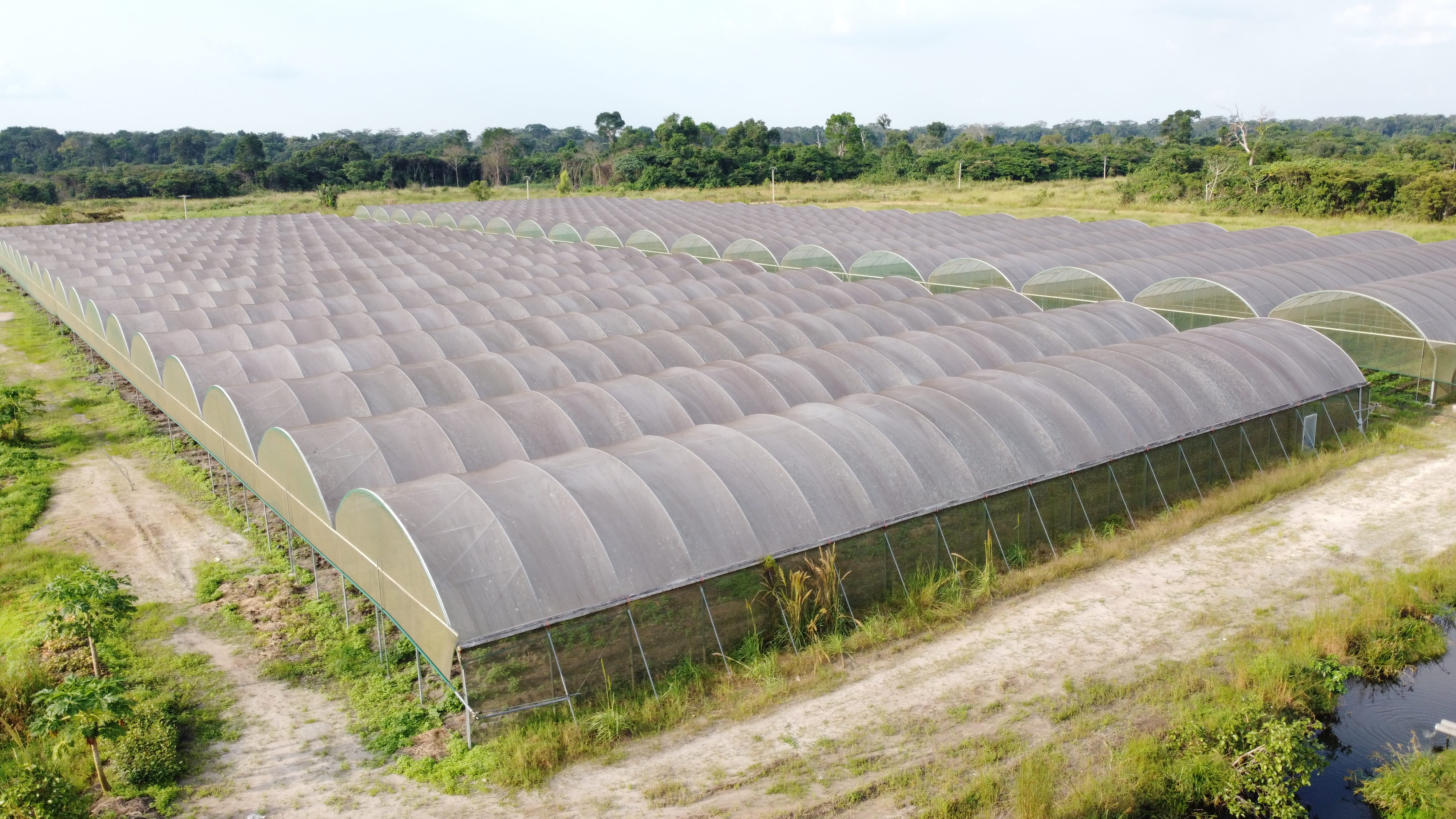 AGRICULTURE