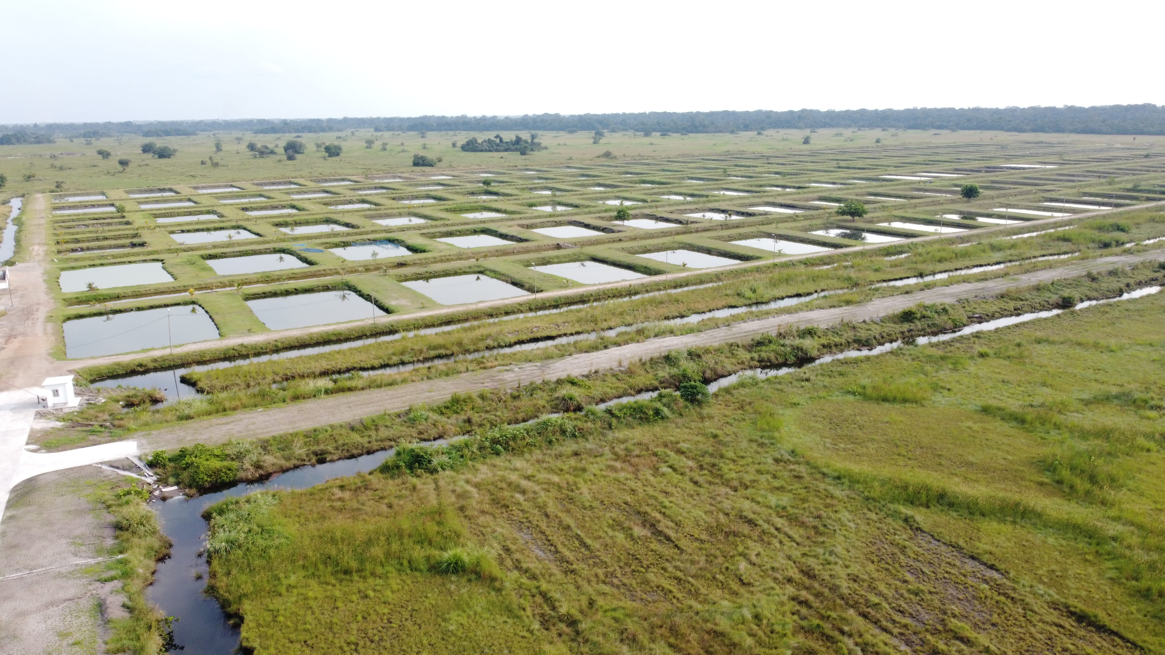 PISCICULTURE